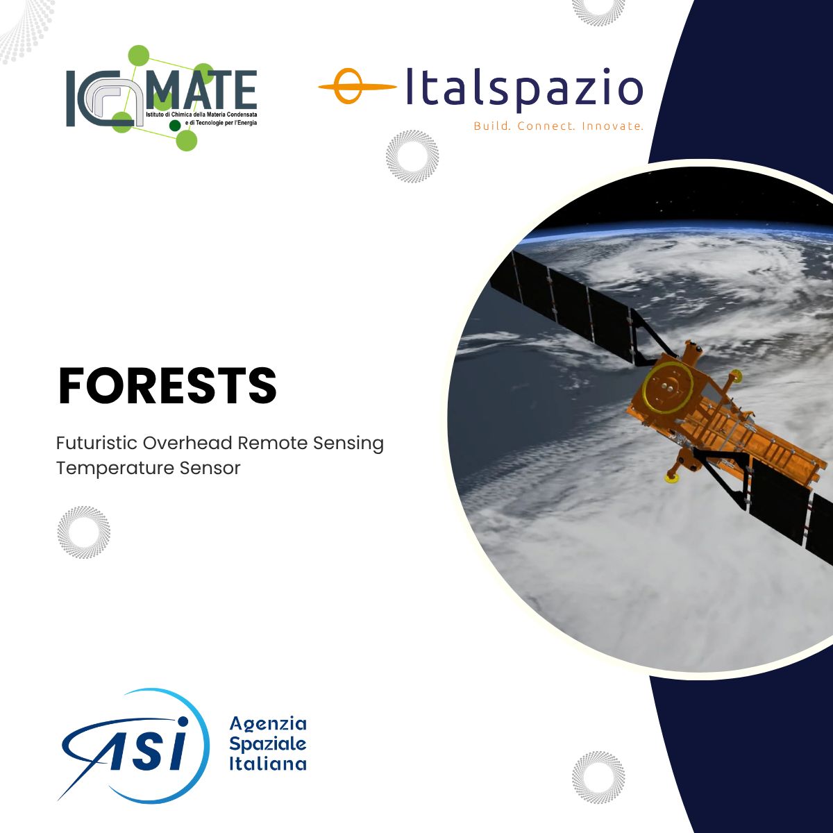Forest Project